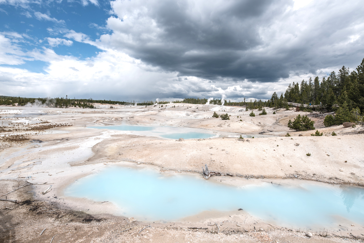 [美國-黃石國家公園(Yellowstone)-景點] 推薦/世界第一的間歇泉 / 諾里斯間歇性溫泉區（Norris Geyser Basin）
